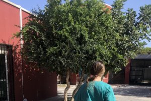 Una cuidadora en las instalaciones del Centro Zoosanitario.