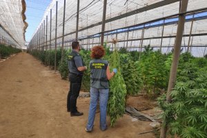 La Guardia Civil ha informado este lunes de la operación.