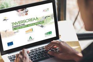 Han creado una web específica para el proyecto.