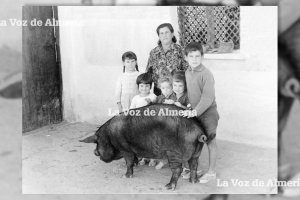 Criar cerdos en las casas era habitual en los años 50. En la foto, la familia Andújar en el patio de su vivienda en las Casitas de Papel.