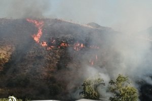 Imagen del incendio de Lorena Martínez.