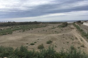 Junto a los matorrales de la punta del río están los sondeos de agua salobre de la desaladora.