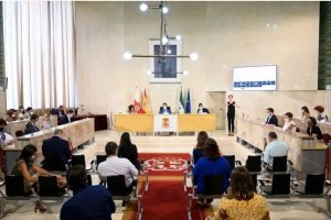 Sesión plenaria en el salón del Ayuntamiento de Almería