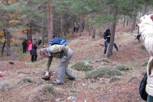 Imagen de archivo de una recogida.