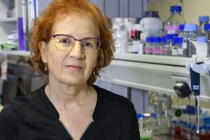 La viróloga Margarita del Val.