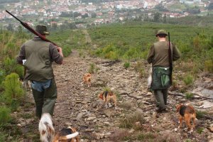 Las armas de caza han ocasionado diez heridos.