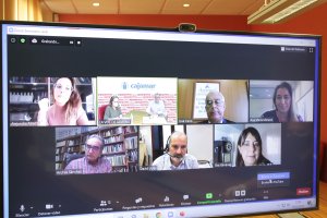 Pedro M. De la Cruz fue el encargado de abrir la videoconferencia con los expertos.