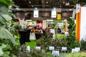 Se está celebrando hasta el 31 de octubre.