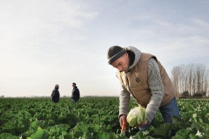 La presentación ha sido esta mañana.