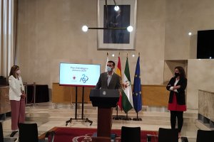 Presentación del plan estratégico en el salón de plenos esta misma mañana