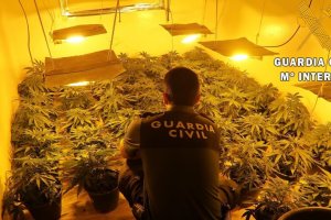 Imagen de archivo de una plantación de marihuana intervenida por la Guardia Civil.