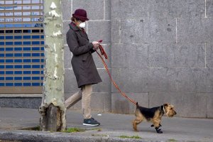 ¿Puedo sacar al perro por la noche durante el toque de queda?