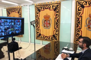 Ramón Fernández-Pacheco durante la sesión plenaria telemática