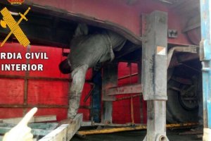 La persona rescatada viajaba con evidentes síntomas de agotamiento y deshidratación.