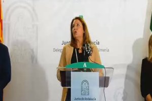 La consejera andaluz durante la rueda de prensa este mediodía.