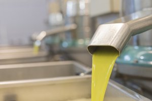 Extracción en frío a menos de 20º.