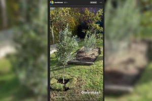 Imagen compartida por David Bisbal en Instagram.