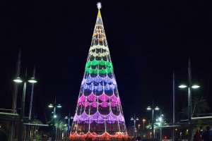 Un pino de 32 metros de altura para la Plaza de las Velas.