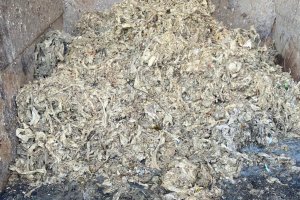 Toallitas rescatadas del alcantarillado roquetero.