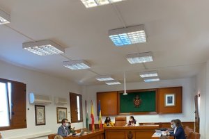Pleno extraordinario del Ayuntamiento de Mojácar.