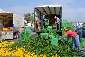 Destrucción de hortalizas como acto de protesta.