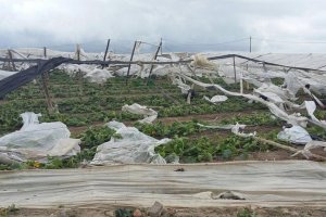 Imagen de archivo de invernaderos destrozados por el viento en El Ejido.
