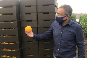 XStress utiliza los conocimientos más avanzados en tecnología nutricional para moderar la respuesta de las plantas al estrés ambiental