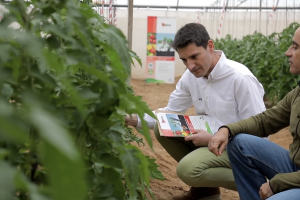 Adina es la principal apuesta: un bionematicida diseñado para el riego por goteo con gran flexibilidad en cuanto aplicación y condiciones