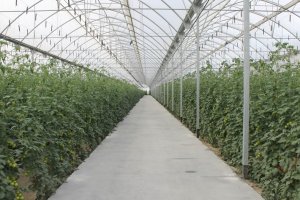 La Consejería destinará más de 10,92 millones de euros en la modernización de instalaciones