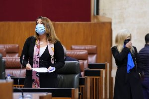 Implantación del contenedor marrón en los municipios para aprovechar los residuos orgánicos en la producción de biogás