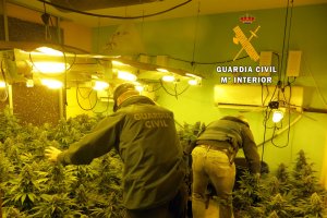 Cultivo de marihuana intervenido en Huércal.