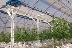Transformación Económica apoya con 62.800 euros el nuevo centro de biofertilizantes de Evergreen Natural