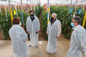 Rijk Zwaancuenta con más de 100 hectáreas de breeding y fincas de experimentación en Almería, El Ejido y Cartagena