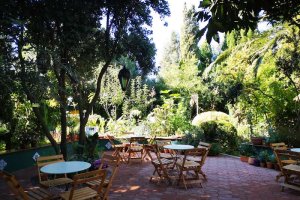 Las puertas de este jardín se abrieron al público en 2016 y, desde entonces, forma parte de la oferta turística del municipio ejidense.