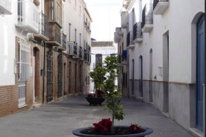 El alcalde asegura que los maceteros no entorpecen la entrada del menor en su vivienda.