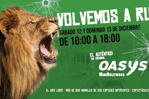 Más de 800 animales de 200 especies diferentes.