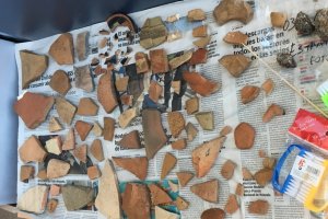 Imagen inédita con algunos de los restos aparecidos en Villaricos en 2018 y 2019.
