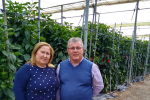Paqui Martín y Juan Antonio González, en el invernadero familiar.