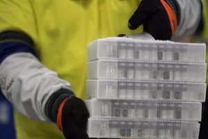 Las primeras vacunas llegarán en unas semanas.,