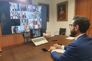 El alcalde de Almería, durante una reunión virtual de la FEMP.