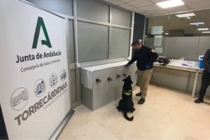 Secuencia de la prueba efectuada en Torrecárdenas a finales de noviembre.