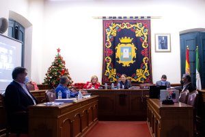 Imagen del Pleno de Níjar.