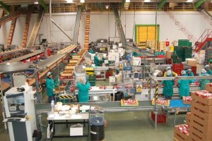 Los trabajadores del manipulado, en huelga.