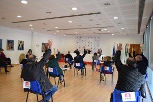 Imagen de la sesión plenaria extraordinaria.