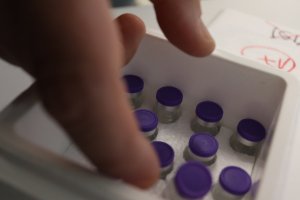 Las primeras vacunas llegaron ayer a la provincia.