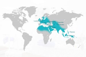 Extenda ha ampliado en doce mercados su Red Exterior, con especial atención a zonas geográficas en crecimiento.