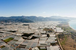 Gestión del agua subterránea del Poniente Almeriense.