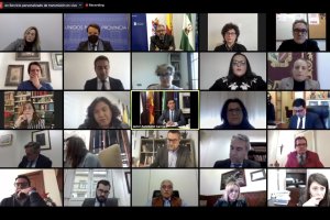 Pleno de la Diputación de Almería celebrado este martes.