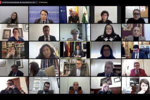 Pleno telemático de la Diputación de Almería, celebrado ayer.