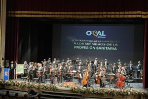 Imagen de un momento del concierto la OCAL de Año Nuevo.